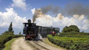 Darjeeling, West Bengal – Misty Toy Trains and Tea Trails