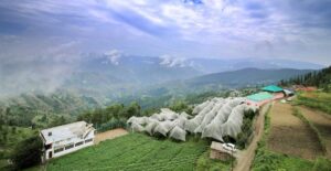 Best Places to Visit in Fagu, Himachal Pradesh: A Detailed Travel Guide
