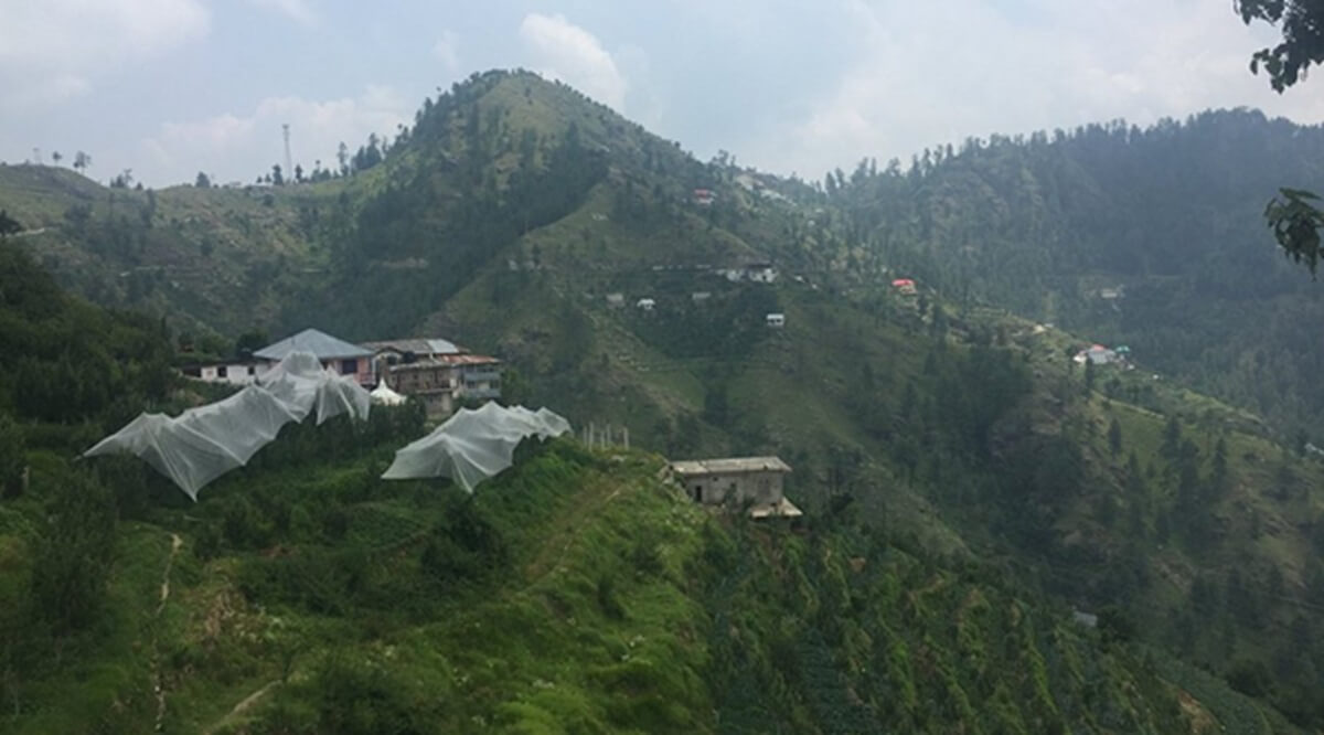 Katir View Point and Forest Trails