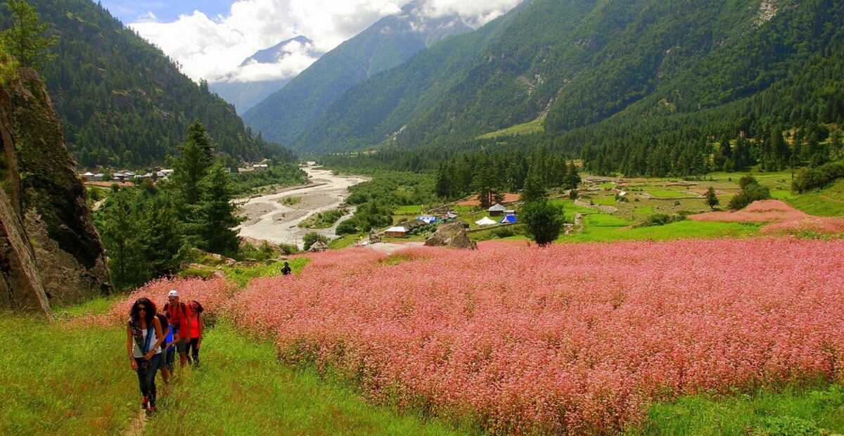 Trekking in Sangla Valley: Trails for All Levels