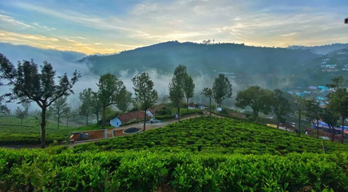 Where to Go in India in October (Sample Itineraries)