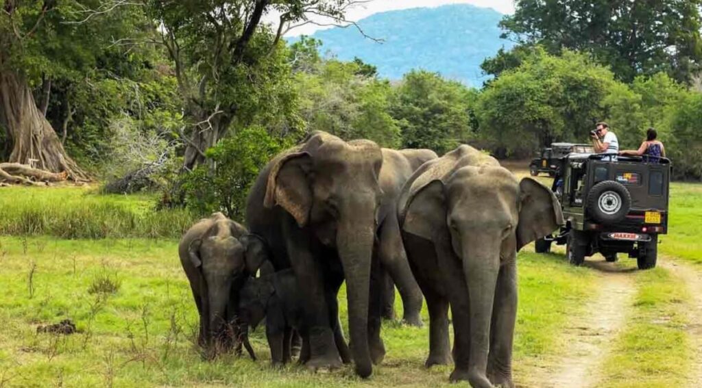 Top 20 Wildlife Reserves Open in September in India: Ultimate Guide
