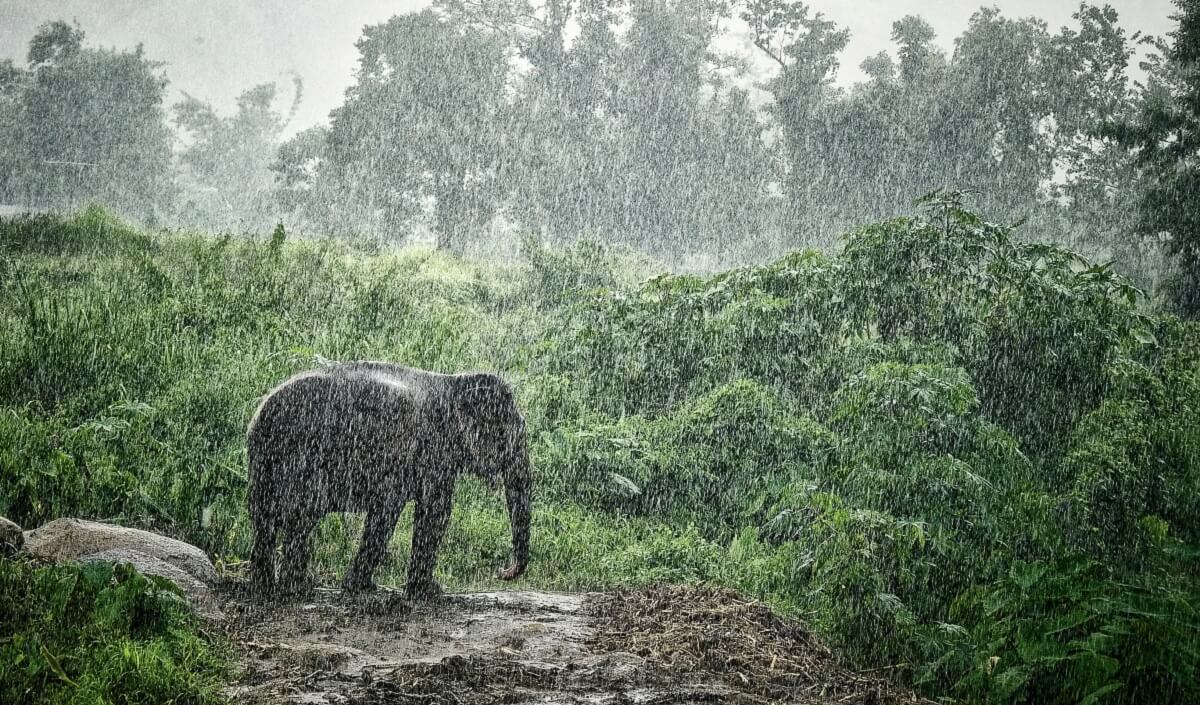 Why Visit Wildlife Reserves in September?