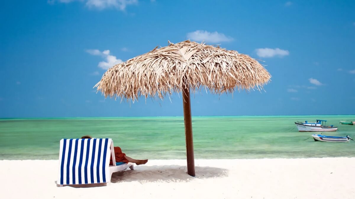 History & Cultural Background