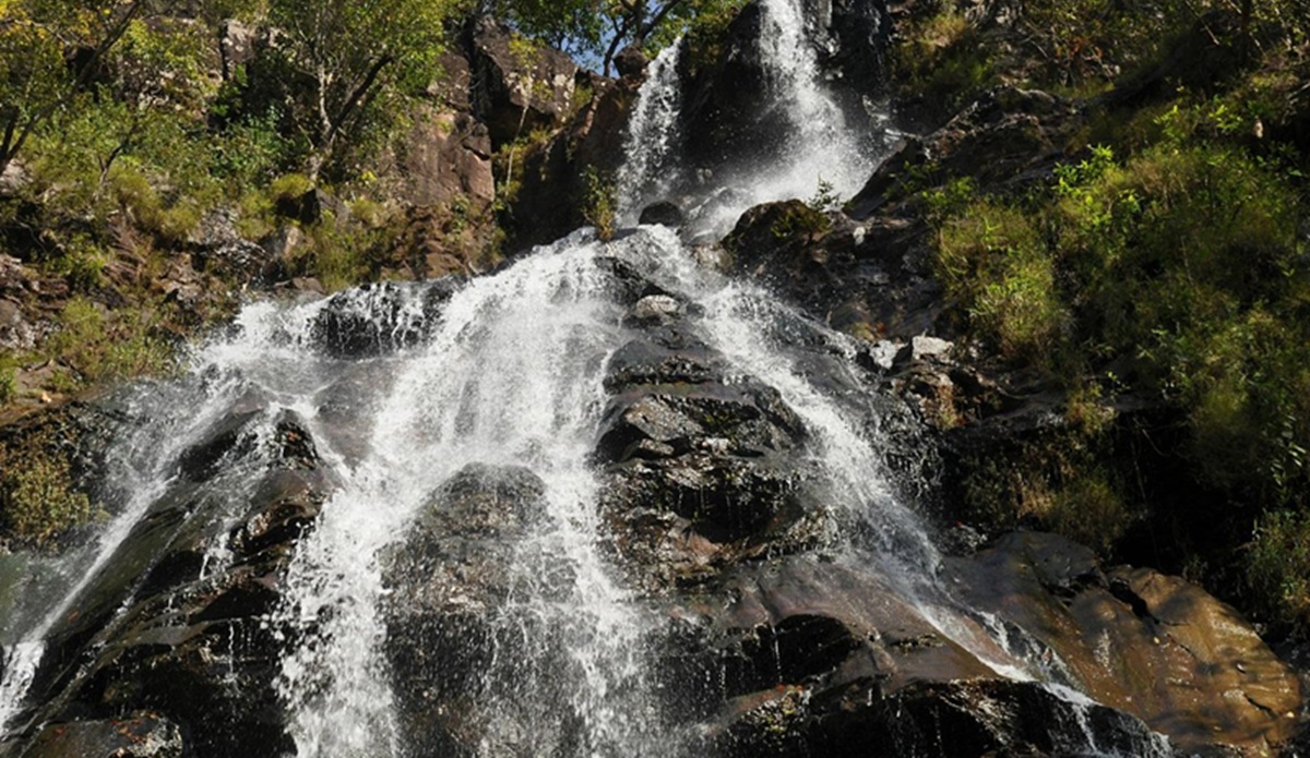 Bee Falls