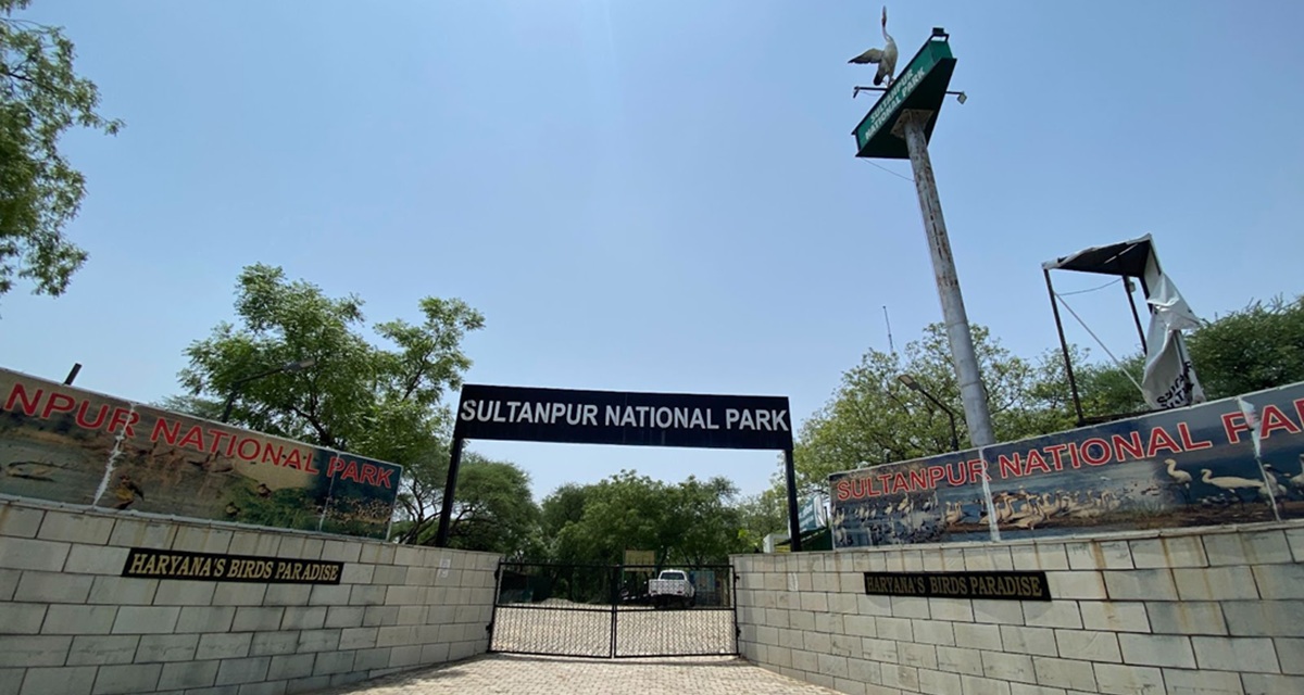 Timings and Entry Fees