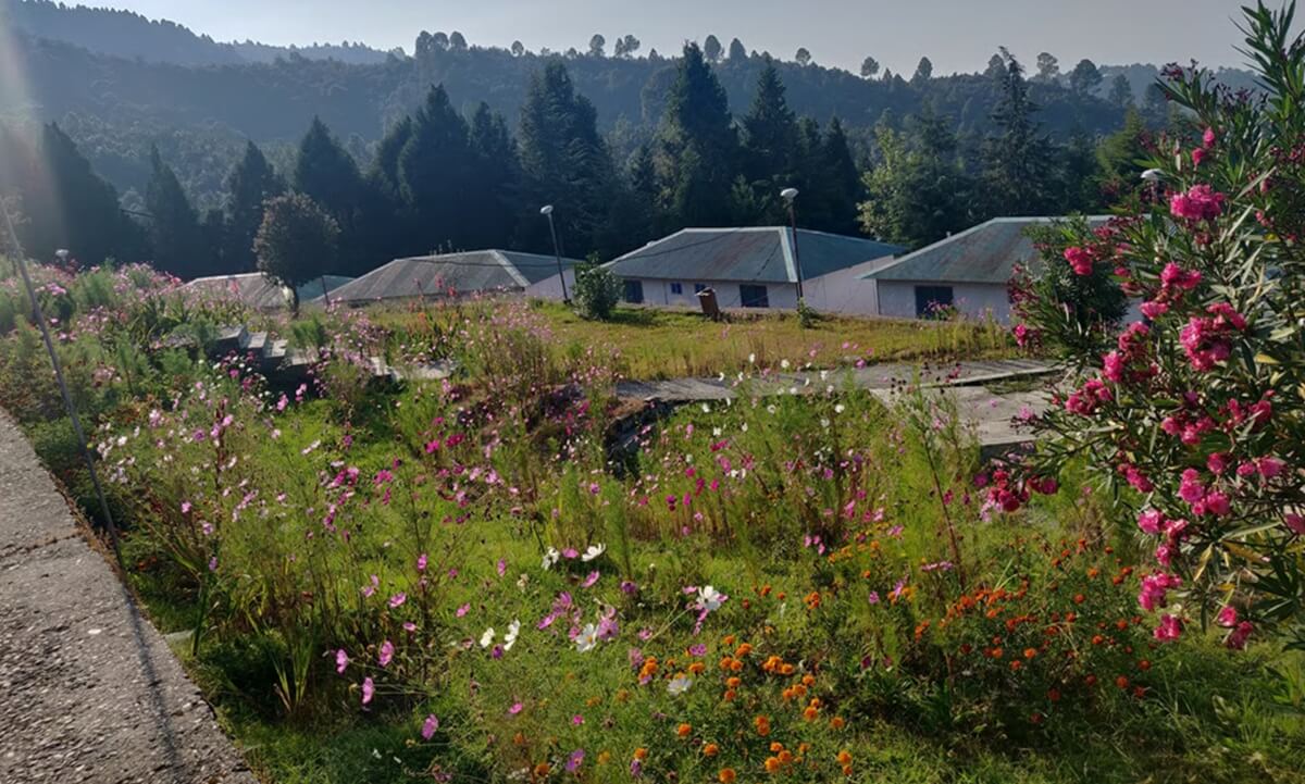 Ulka Ghari – A Hidden Trail for Walkers and Birdwatchers