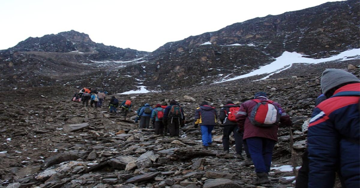 Trends, Regions & Alternatives