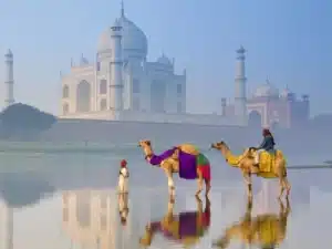 Arrival in India: A Rush of Color, Sound, and Emotion