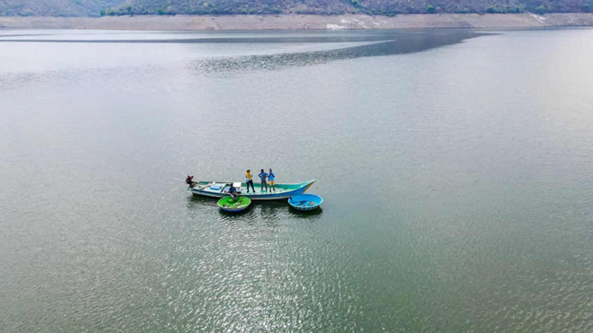 Organized Tours and Packages