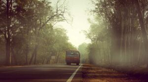 Your Complete Guide to Reaching Coorg from Delhi: Flights, Trains, and by Road