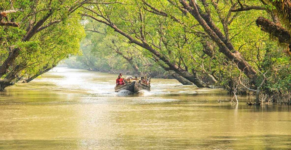 Sundarbans National Park, West Bengal