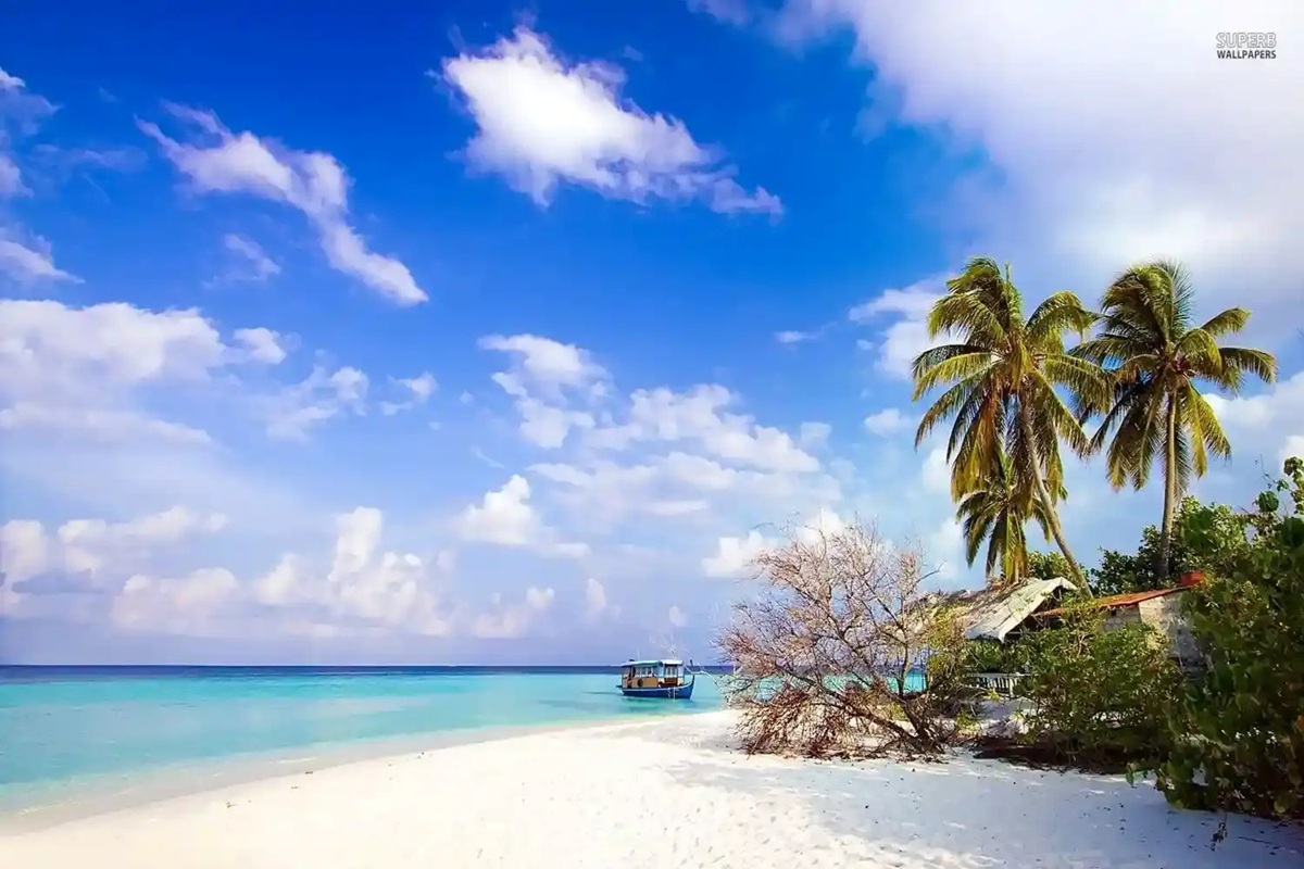 Best Time to Visit Andaman & Nicobar in December