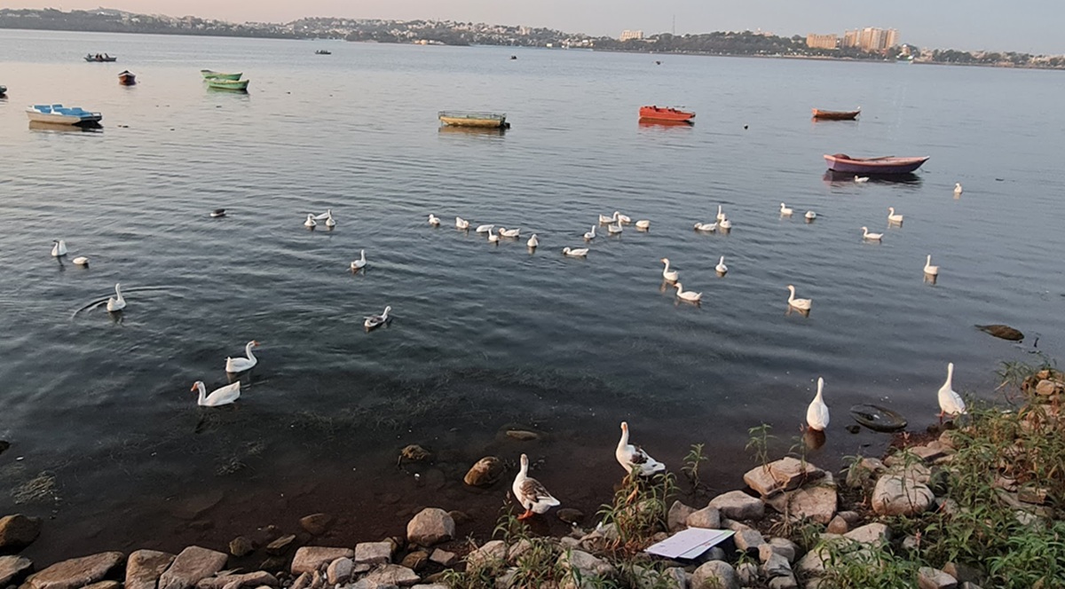 Birdwatching: A Paradise for Nature Lovers