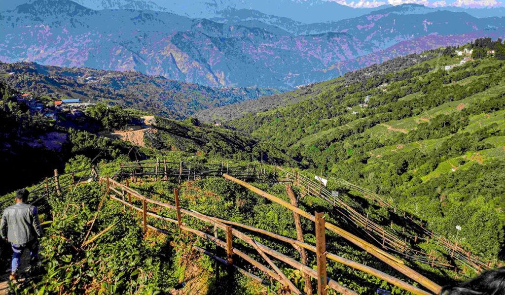 Darjeeling in October 2025: Toy Train Rides, Tea Tastings, and Kanchenjunga Clear Views