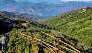 Darjeeling in October 2025: Toy Train Rides, Tea Tastings, and Kanchenjunga Clear Views