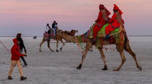 Rann of Kutch, Gujarat in December: Weather, Things to Do, How to Reach
