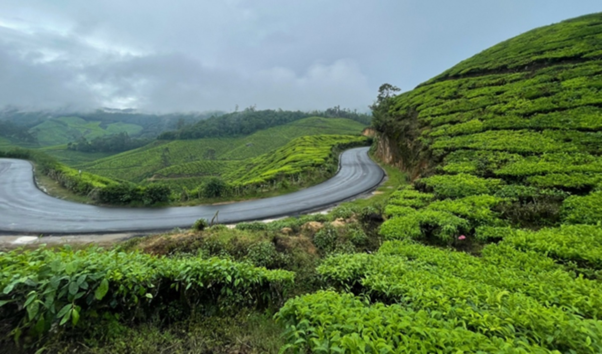 Munnar – Tea Gardens, Peaceful Views and Nature Trails