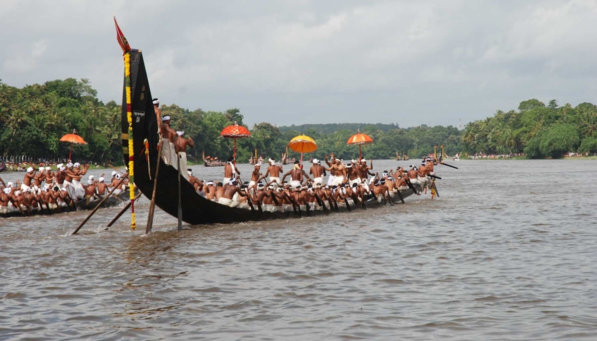 Festivals & Cultural Events in November