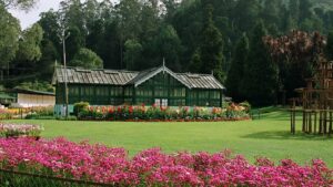 Ooty in October 2025: Nilgiri Toy Train and Colonial Charm