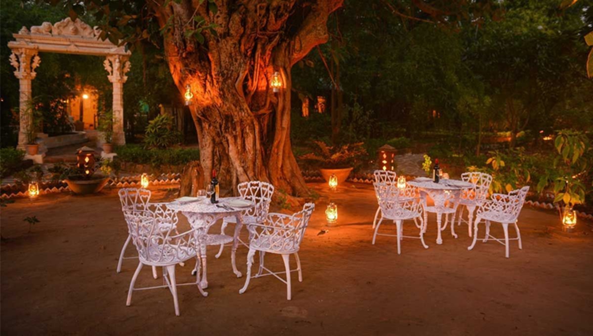 What to Expect Inside the Park: Wildlife & Experiences