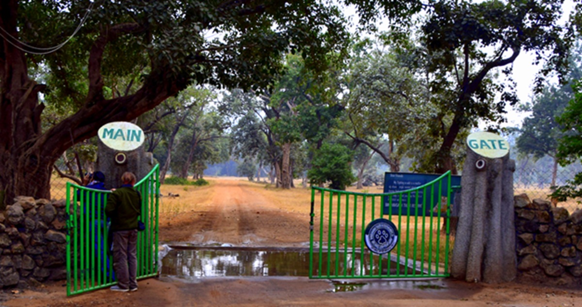 Best Time to Visit & Ideal Duration