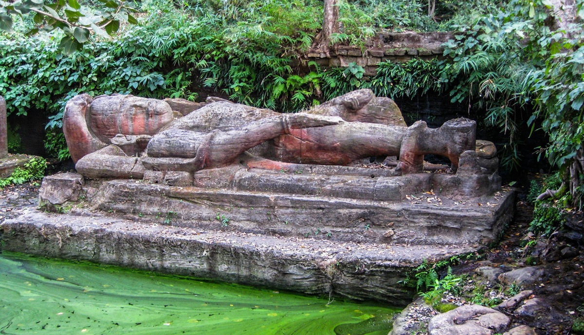 Bandhavgarh Weather in December: What's it Like?