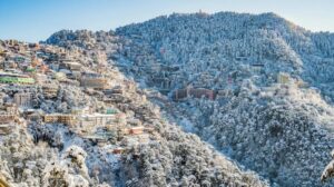 Kasauli in December – Colonial Calm and Pine Forest Trails