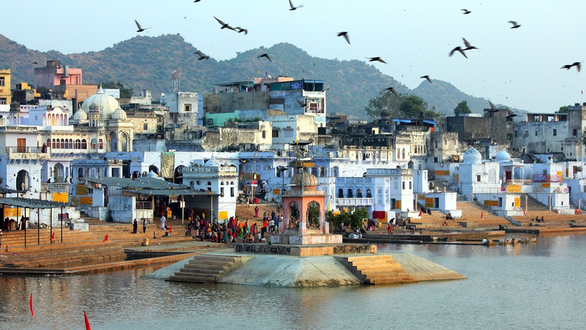 Weather & Packing Guide for December