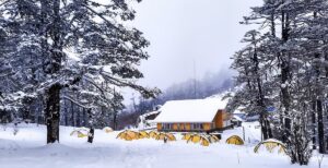 Best Winter Camping Destinations in India