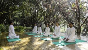 Best Yoga & Wellness Retreats in India for December (2025 Guide)