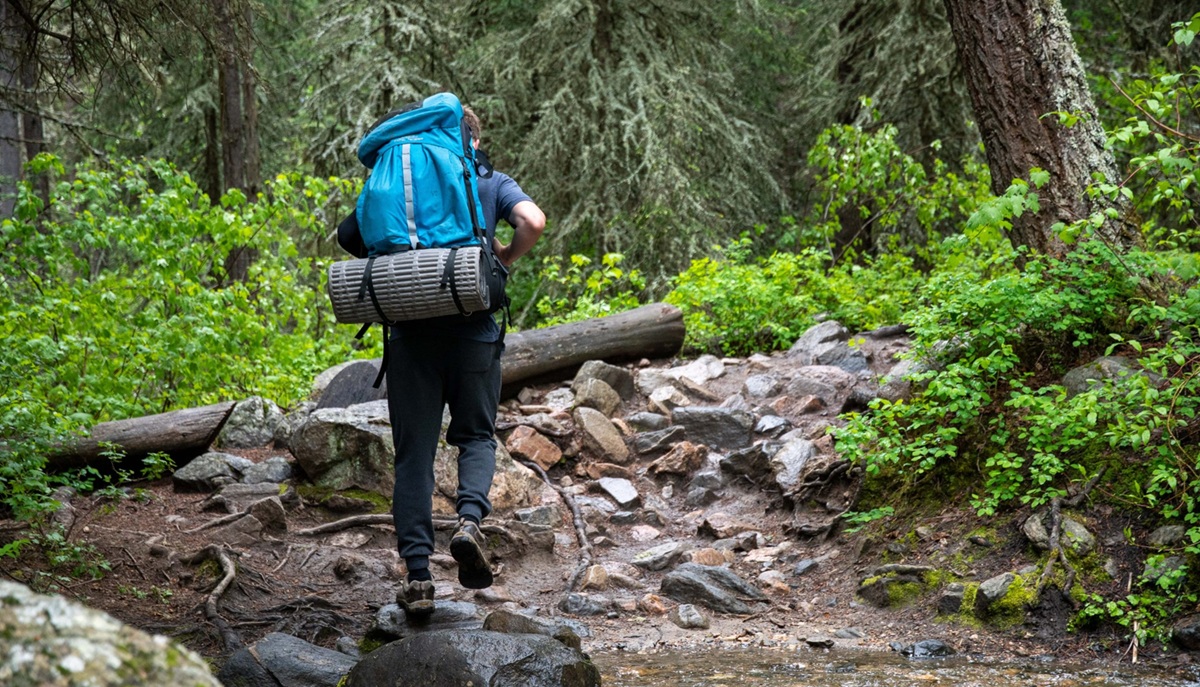 Adventure & Nature Activities