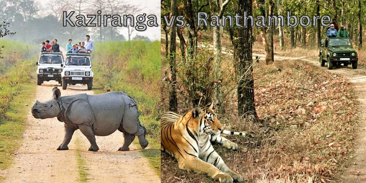 Why these two parks dominate winter safari plans: