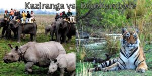 Kaziranga vs. Ranthambore – Which Safari Is Best in December 2025?