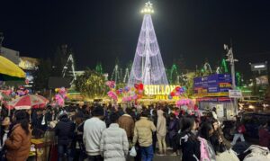 Best New Year Itineraries for Shillong in 3 Days: Complete Guide 2026