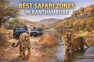Best Safari Zones in Ranthambore