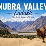 Nubra Valley Ladakh