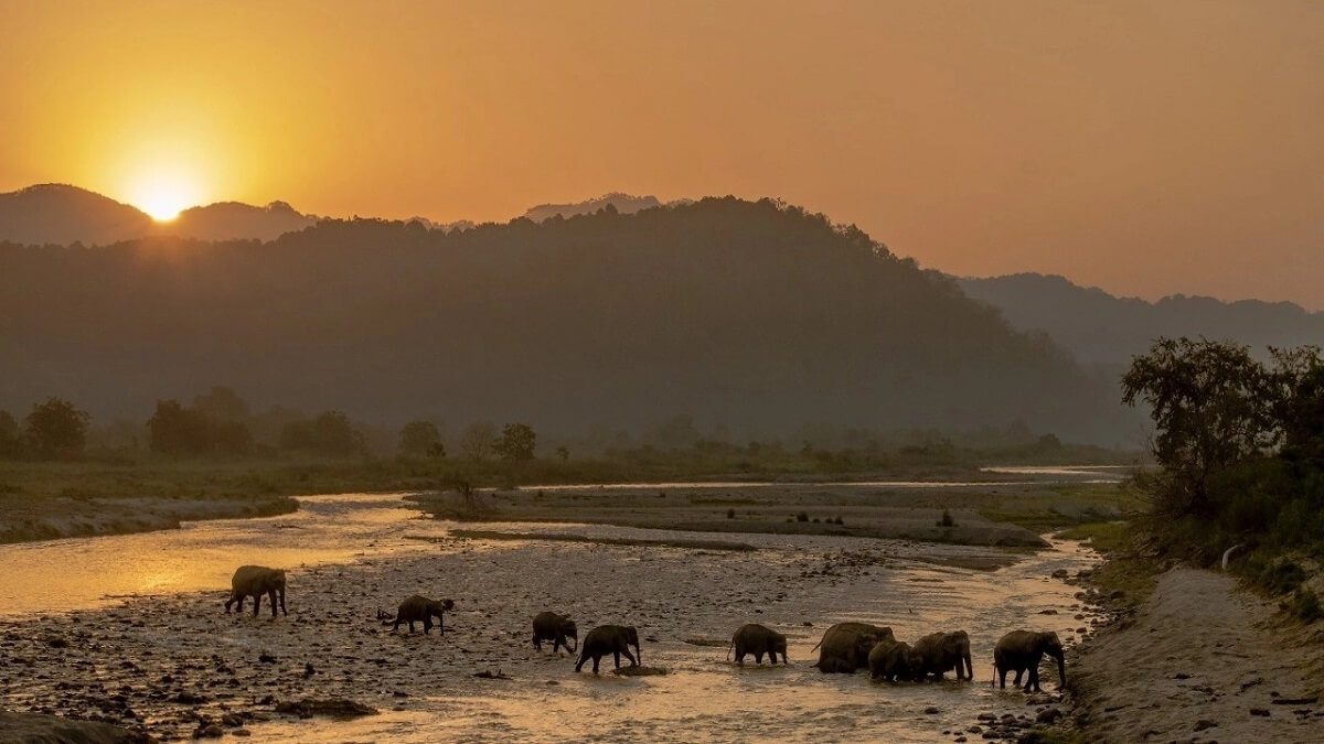 Garjia Zone Corbett