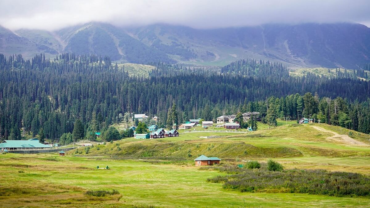 Gulmarg Meadow