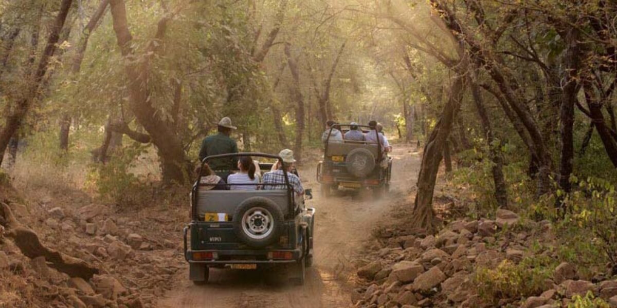Jhirna Zone Corbett