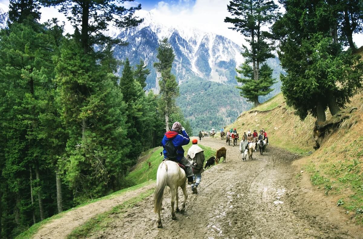 Pony Riding Gulmarg
