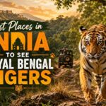 Tiger Places in India