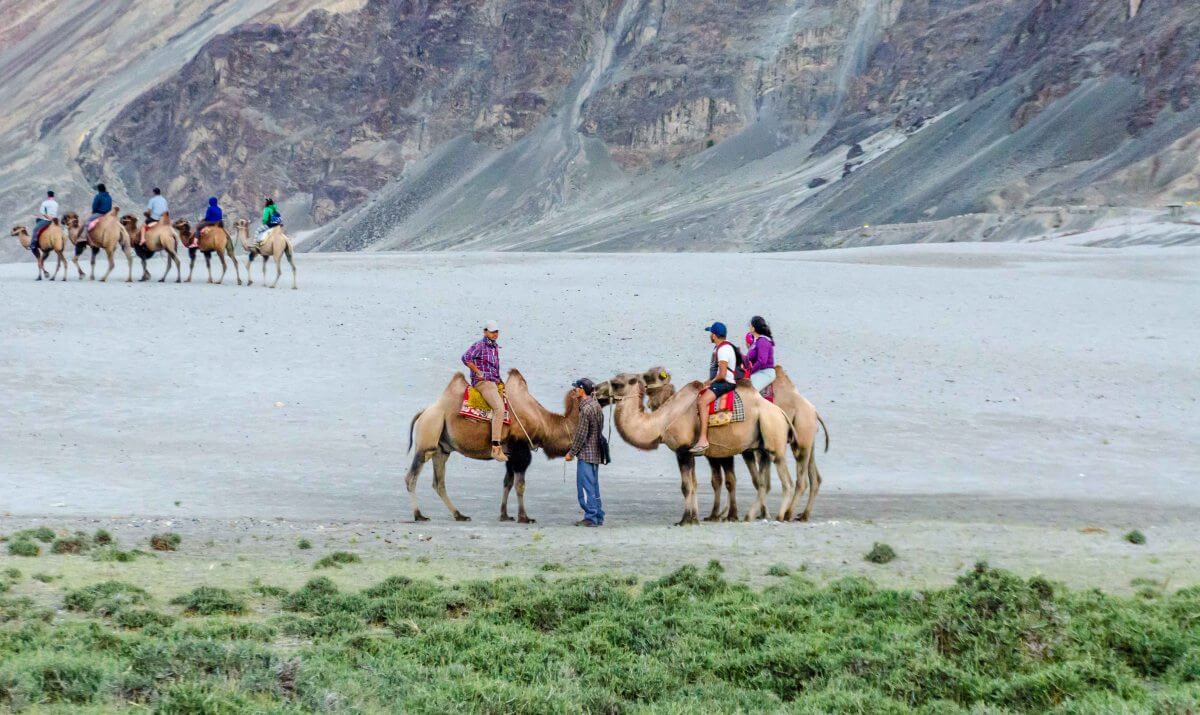 Hunder sand dunes Nubra Valley
