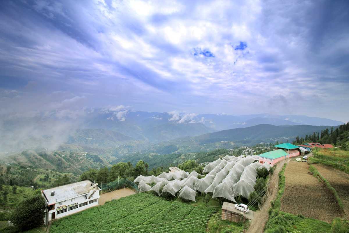 Fagu Shimla