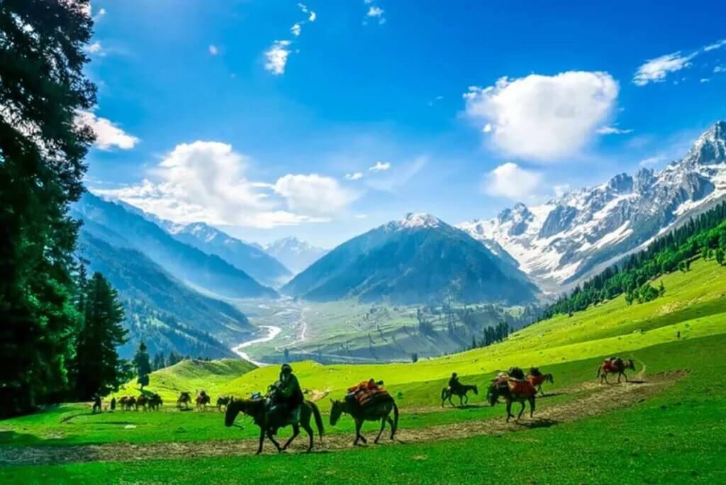Gulmarg Meadows