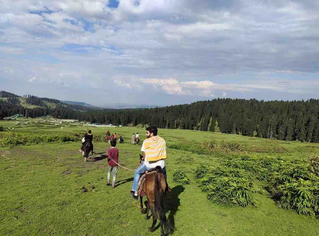 Horse Riding Gulmarg