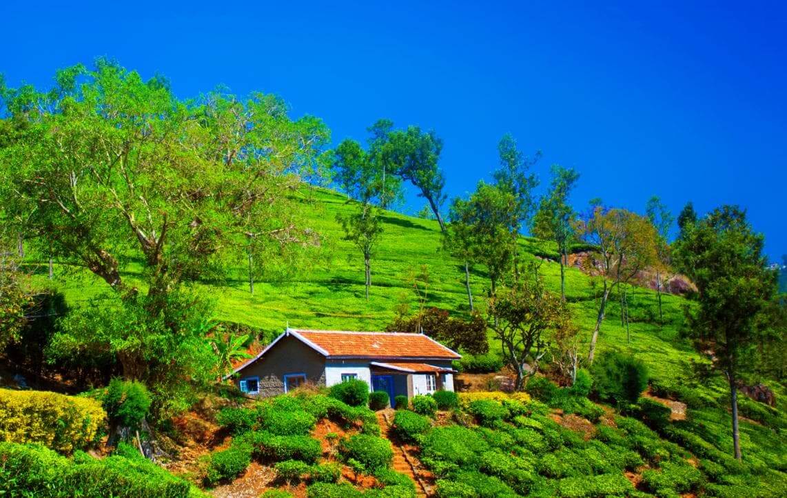 Coonoor
