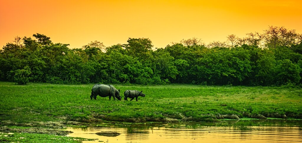Itinerary Banner