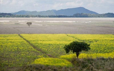 Morigaon