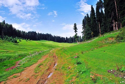 Gulmarg Biosphere Reserve